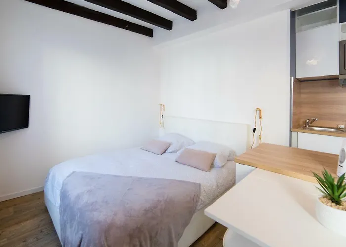 アパート ★ Le Cote Garonne ★ Hypercentre ★ Netflix ★ トゥールーズ