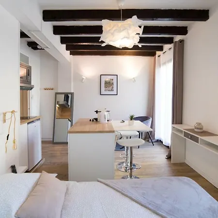 Apartman ★ Le Cote Garonne ★ Hypercentre ★ Netflix ★ Toulouse